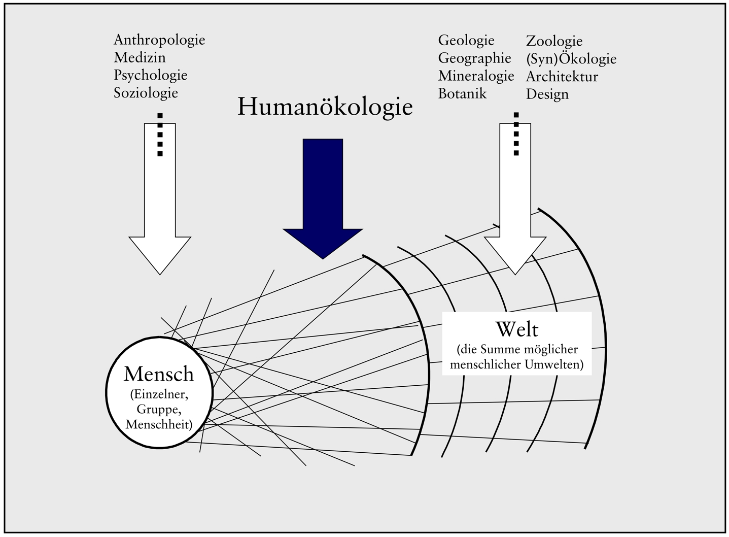 Interdisziplin Humanökologie